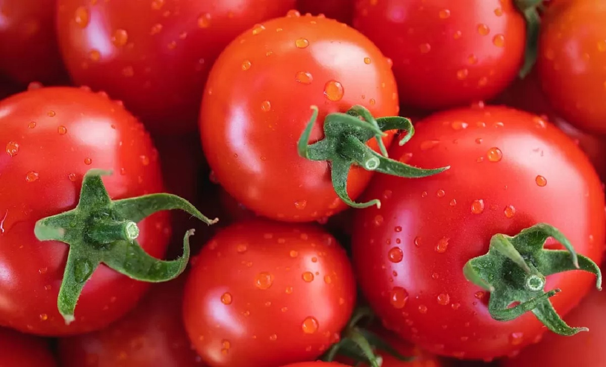 5 Manfaat Tomat untuk Kesehatan, Bisa Tingkatkan Penglihatan hingga Turunkan Berat Badan
