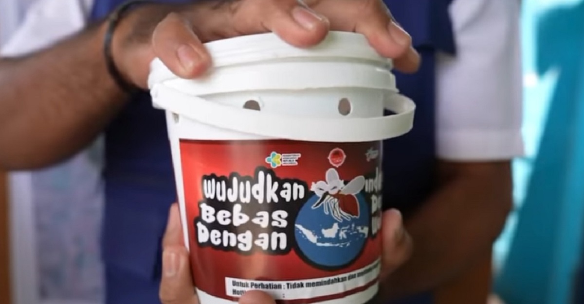 Kemenkes Terapkan Teknologi Wolbachia yang Efektif Turunkan Kasus Wabah DBD  di Indonesia