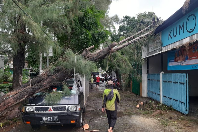 Diterjang Hujan Angin, 23 Pohon Ambruk di Jakarta, 4 Orang Luka-Luka 1 Mobil Ringsek