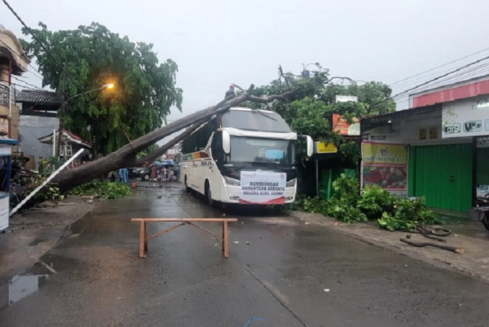 Bus Relawan Gerakan Nusantara Bersatu Tertimpa Pohon di Kota Bekasi