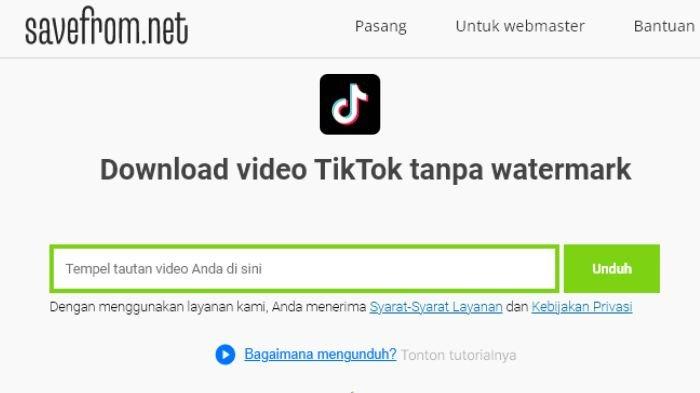Cara Download Video TikTok dengan SaveFrom, Gampang Banget