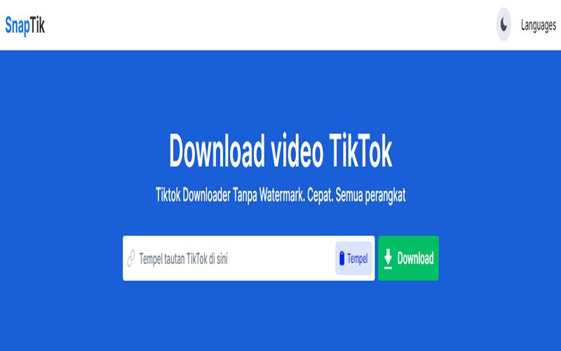 Download Video TikTok Tanpa Watermark, Klik Disini Untuk Tau Caranya!