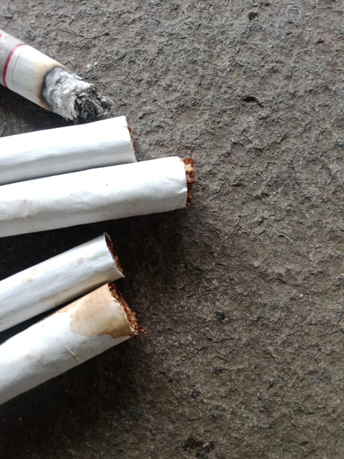 GAPPRI: Pungutan Negara Langsung Terhadap Industri Hasil Tembakau Sudah di Atas Nilai Keekonomian