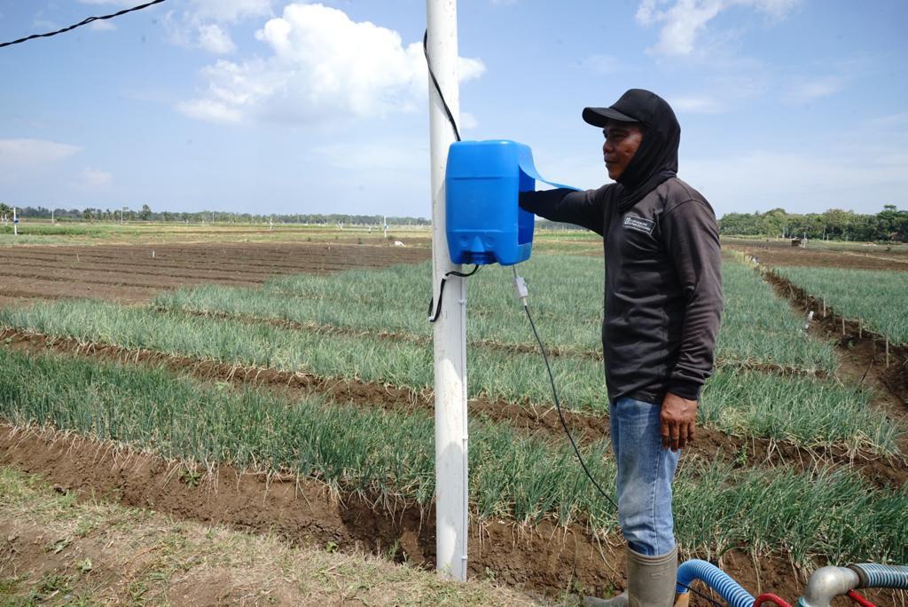  Program Electrifying Agriculture PLN Sukses Tekan Biaya Operasional Petani Bawang Merah Hingga 90 Persen