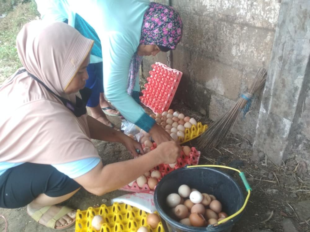 Duh! Harga Telur Ayam di Yogyakarta Tertinggi Sepanjang Tahun 2022