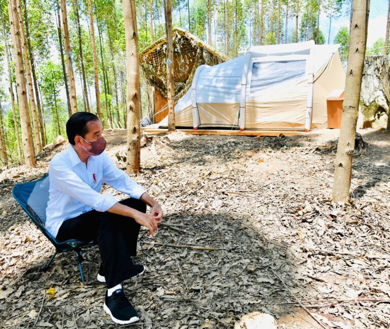 Jokowi Pakai Tenda 'Bekas' Berkemah di IKN Nusantara, Mereknya Quechua Arpenaz