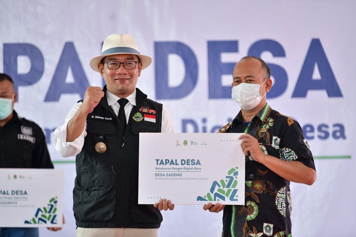 Gubernur Ridwan Kamil Luncurkan Tapal Desa, Digitalisasi Lumbung Padi Antisipasi Krisis Pangan