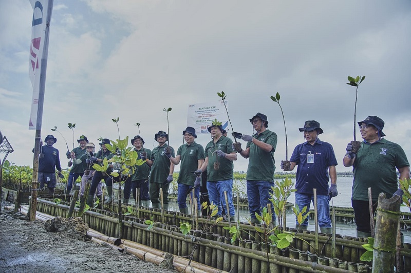 2.000 Bibit Mangrove untuk Bali