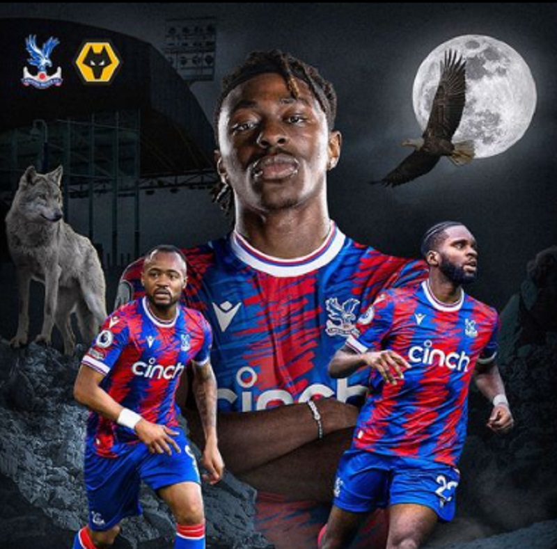 Link Live Streaming Liga Inggris 2022/2023: Crystal Palace vs Wolves