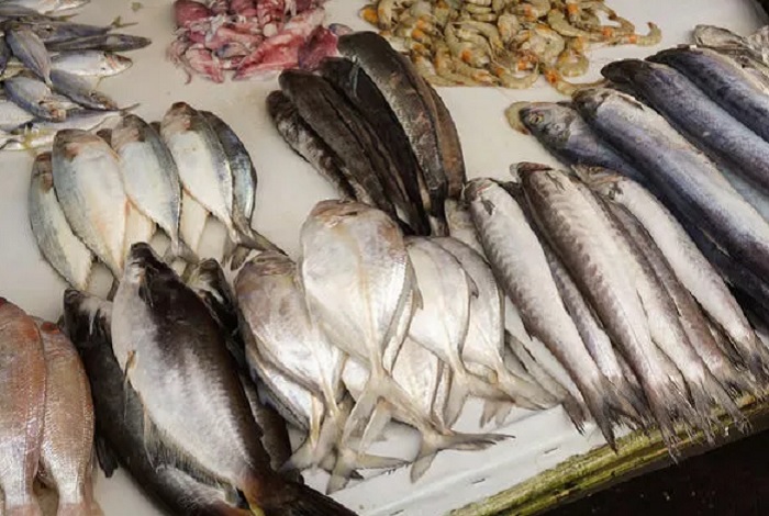 Harga Ikan Laut Naik, Ternyata Ini yang Jadi Pemicunya
