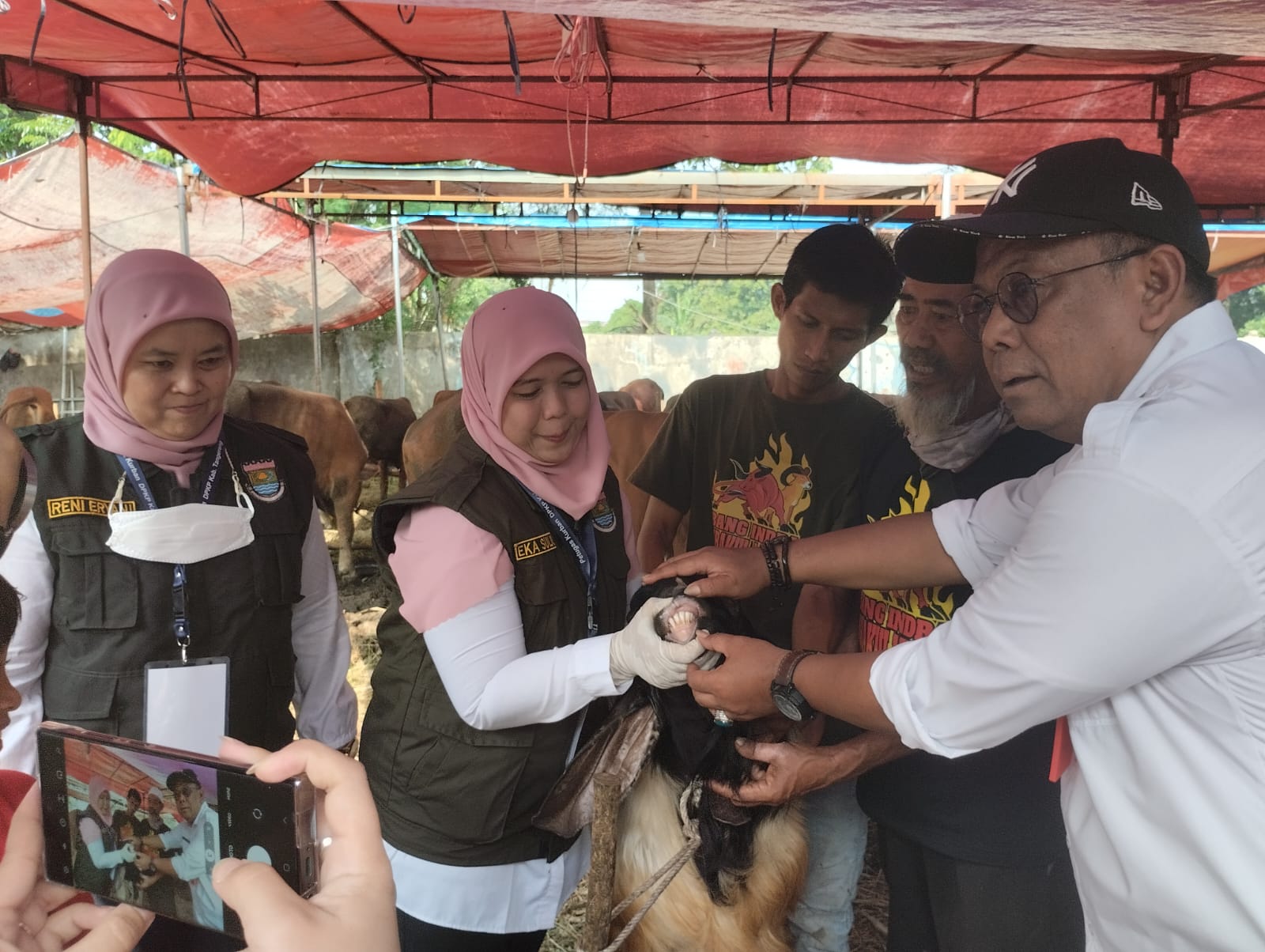 Tinjau Lapak Penjual, DPKP Ingin Pastikan Hewan Kurban di Kabupaten Tangerang Aman di Konsumsi