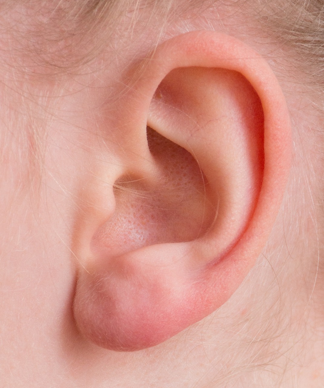 Fungsi Daun Telinga yang Belum Kalian Ketahui dan Tips Perawatannya 