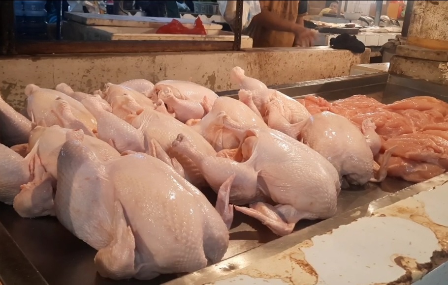 Harga Daging Ayam di Depok Capai Rp60 Ribu Per Ekor 