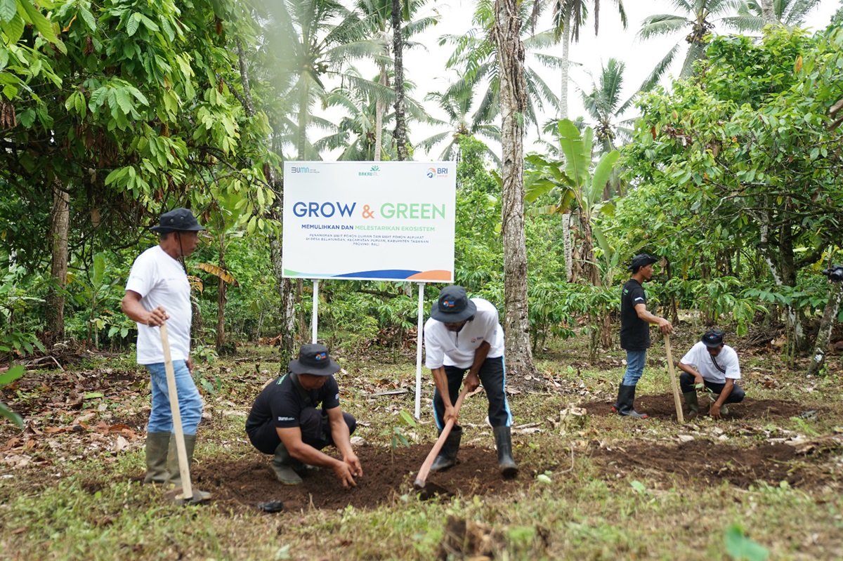Menanam Tanaman Produktif di Lahan Kritis, BRI Grow & Green Berdayakan Dua Kelompok Tani di Bali