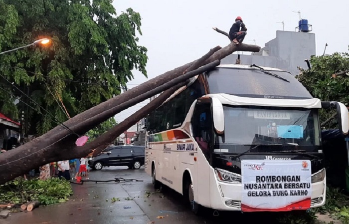 Detik-detik Bus Rombongan Relawan Gerakan Nusantara Bersatu Tertimpa Pohon di Kota Bekasi