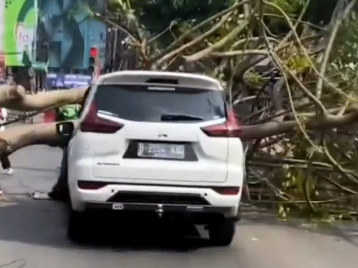 Apes Banget, Mitsubishi Xpander Tertimpa Pohon Saat Melintas di Jatiasih Bekasi