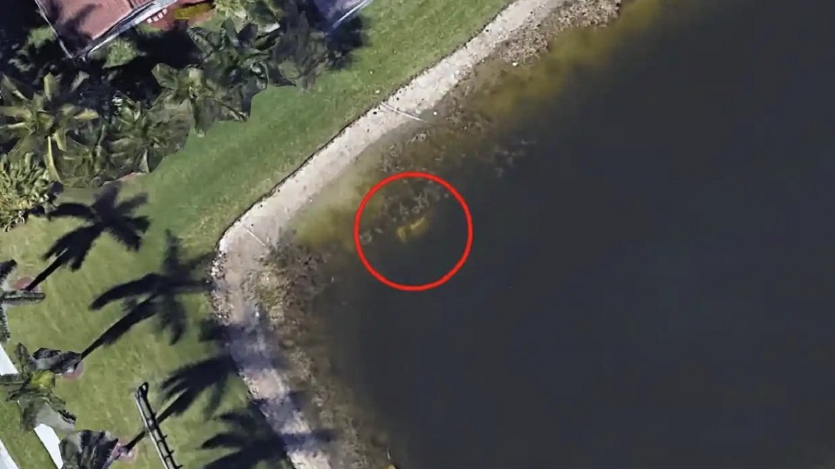 Viral! Hilang Selama 22 Tahun, Pria Ditemukan Meninggal Pakai Google Earth 