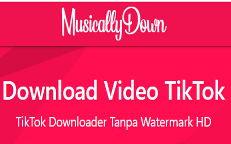 Cara Download Video TikTok Tanpa Watermark Menggunakan Musicallydown, Klik Disini Untuk Tau Caranya!
