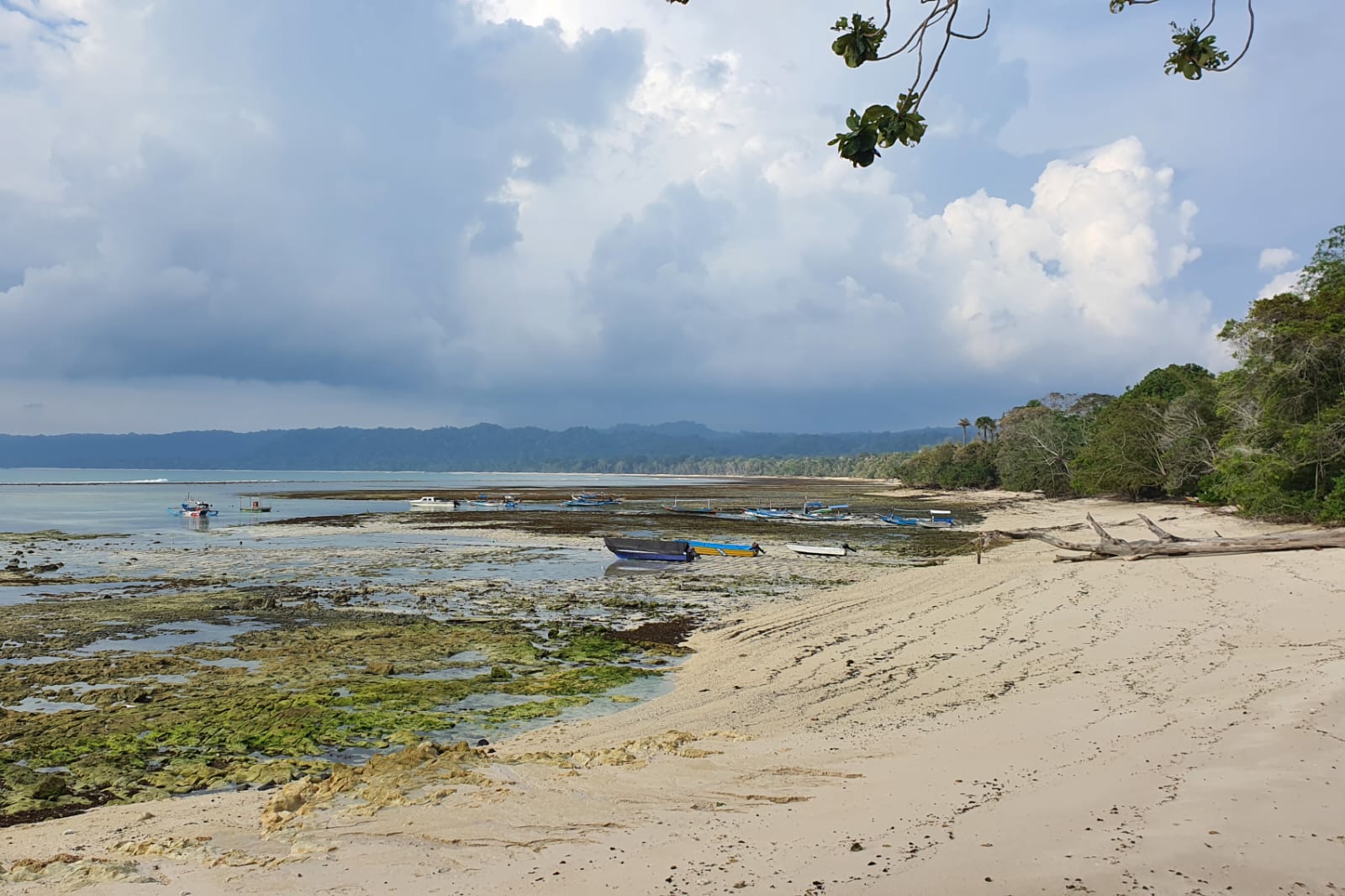 Pantai Plengkung Banyuwangi, Salah Satu Lokasi Berselancar Terbaik di Dunia