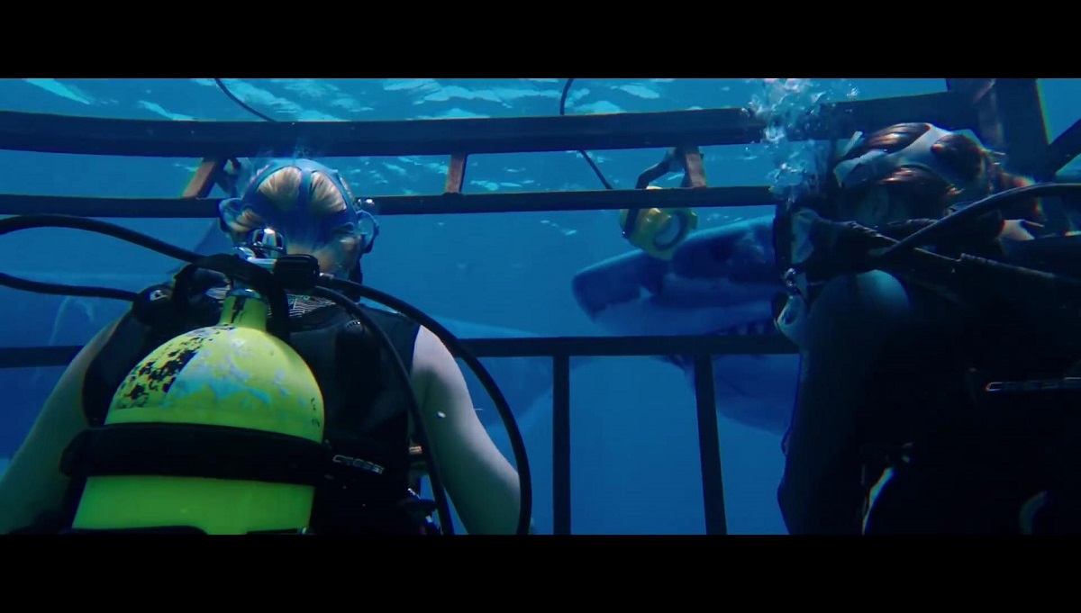 Sinopsis Film 47 Meters Down: Ketika Terjebak di Dasar Lautan yang Dikelilingi Hiu Ganas