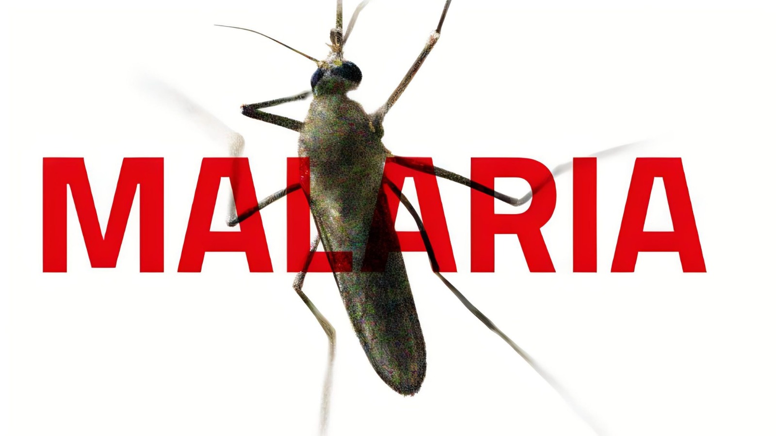 Peringatan Hari Malaria Sedunia menurut Guru Besar Esa Unggul