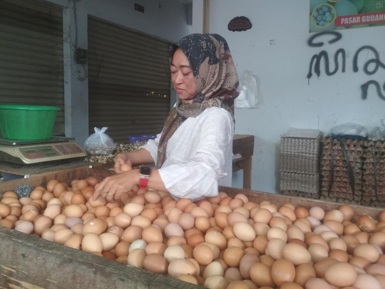 Harga Telur Ayam di Tangerang Naik Lagi Tembus Rp31 Ribu Per Kilogram, Penyebabnya Bansos 