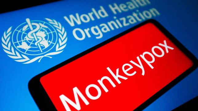 Kemenkes Umumkan Kasus Konfirmasi Cacar Monyet Pertama di Indonesia