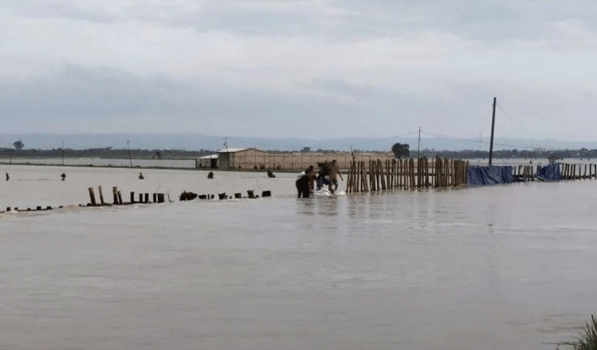 Banjir di Demak Meluas hingga 44 Desa, 2.163 Orang Mengungsi