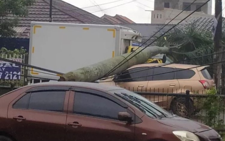 Angin Kencang Landa Tangerang Raya, Fasum Rusak, Tiga Kendaraan Tertimpa Pohon Tumbang
