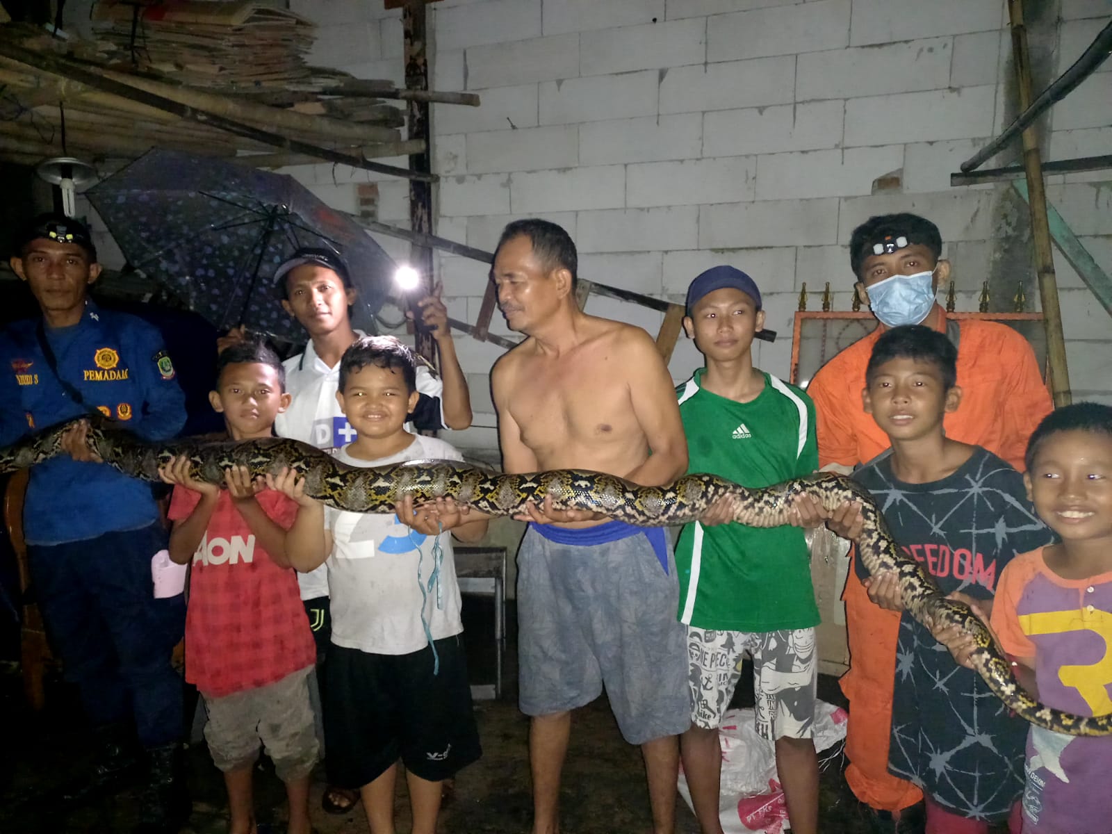 Sehari, 3 Ular Piton dan Kobra Dievakuasi Petugas Damkar Kota Bekasi dari Pemukiman Warga