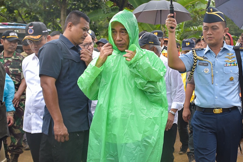  Ketik Monyet Pakai Jas Hujan Muncul Foto Jokowi, Begini Kisahnya