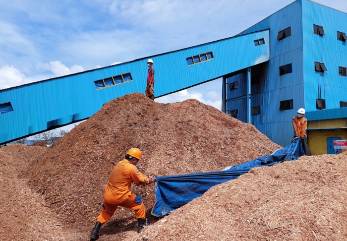 PLN Berhasil Ganti 75 Persen Batu Bara dengan Biomassa di PLTU Bolok NTT