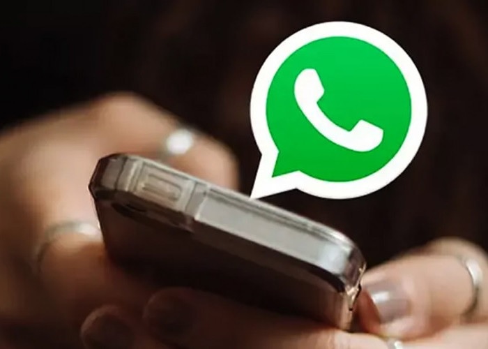 Link Download GB WhatsApp v13.50 Terbaru 2023: Dapatkan Fitur Menarik, Cara Unduh Bisa Lihat Disini!