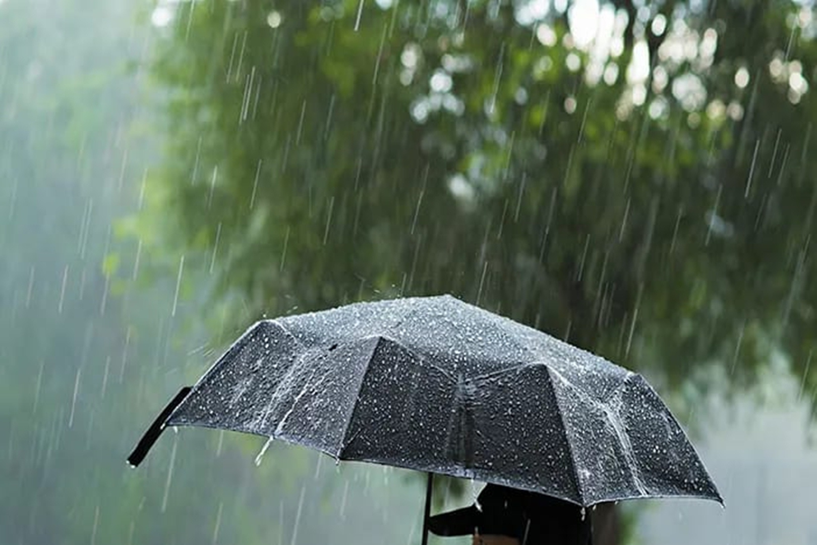 Akhir Pekan, BMKG Prakirakan Sebagian Jakarta Akan Diguyur Hujan