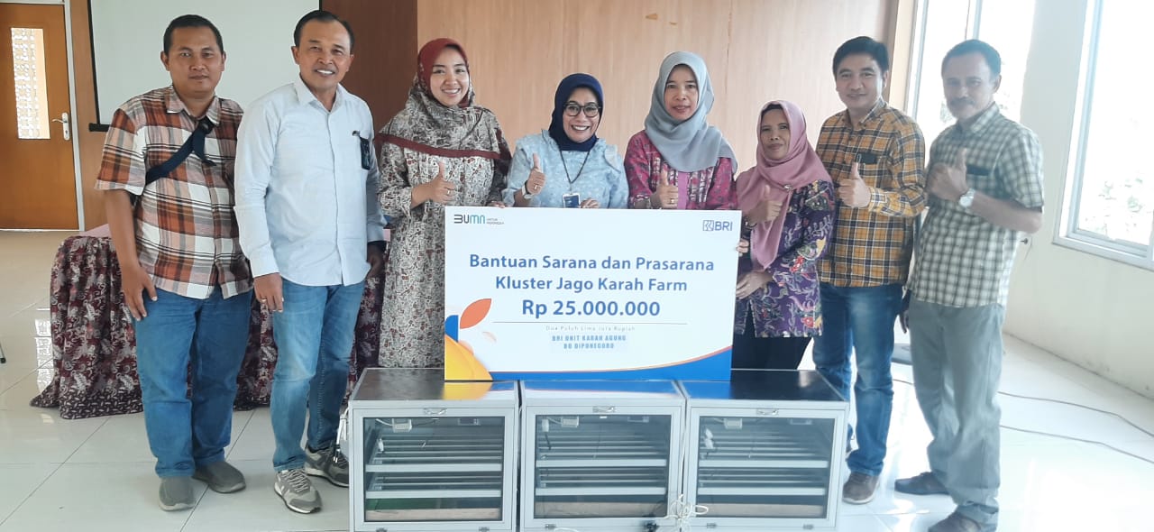 Program Pemberdayaan BRI Bikin Peternakan Ayam di Surabaya Ini Berkembang dan Bisa Bantu Banyak Orang