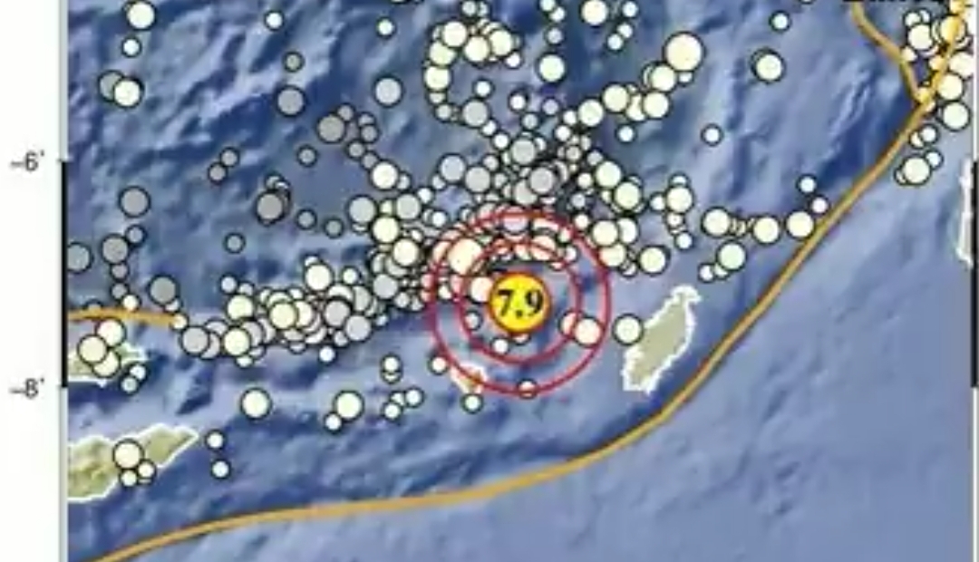 Gempa Magnitudo 7,9 Guncang Maluku Tenggara Berpotensi Tsunami