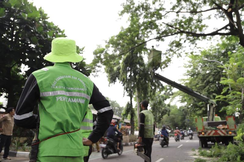 Yang Belum Tahu, Begini Cara Klaim Asuransi Korban Pohon Tumbang di Kota Tangerang