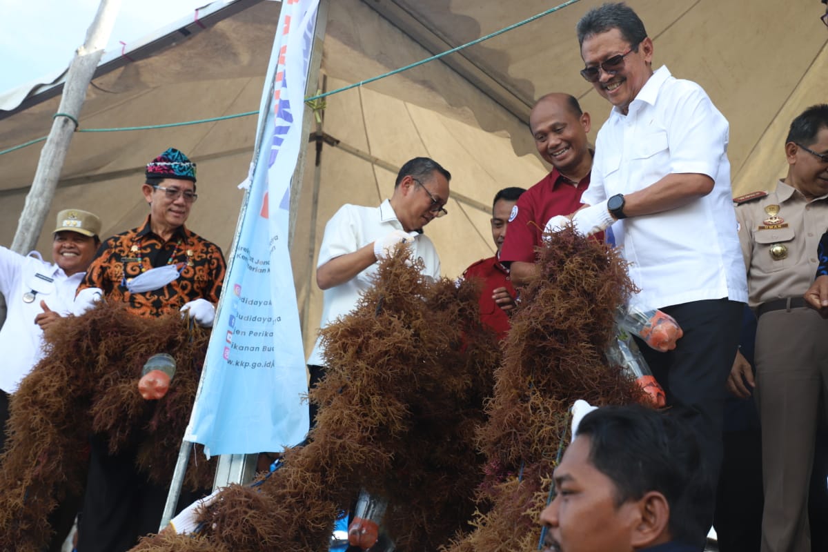 Menteri Trenggono Pacu Hilirisasi Rumput Laut di Perbatasan Indonesia-Malaysia