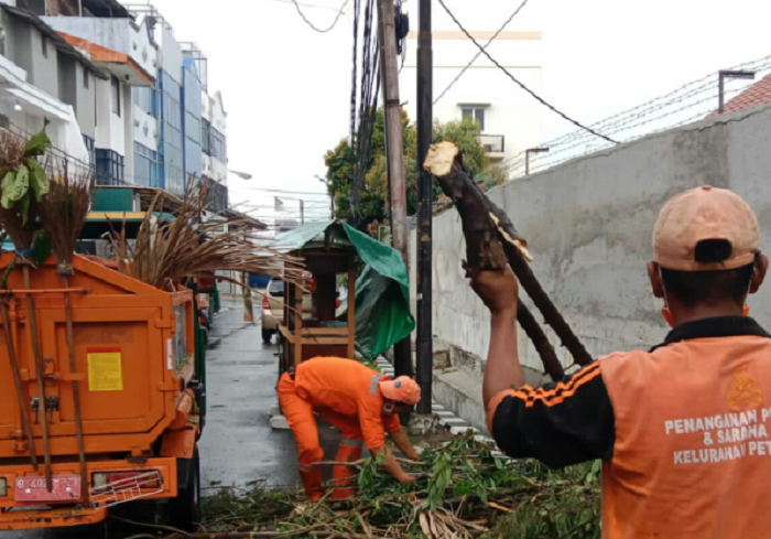 Musim Hujan, Korek Lumpur hingga Pangkas Pohon Dilakoni Personel Gabungan di Jakarta Pusat