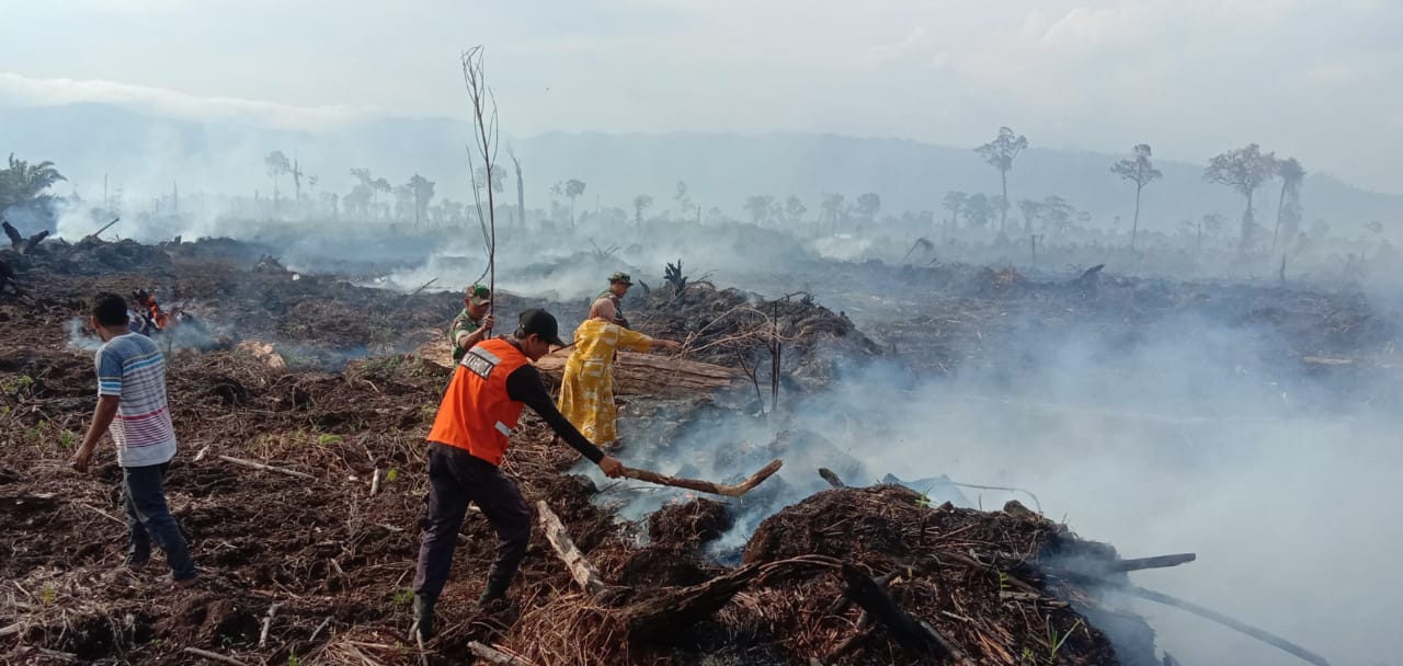 Antisipasi Kebakaran Hutan, Instruksi Kapolri pada Kapolda: Aktifkan Lagi Satgas Karhutla