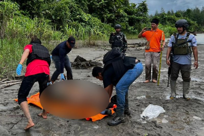 5 Anggota KKB Papua Tewas Saat Baku Tembak dengan Aparat Keamanan di Pegunungan Bintang