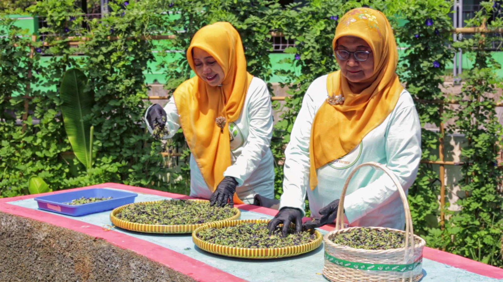 Berkat 'BRInita', Teh Herbal Jadi Produk Unggulan Poktan Bensor Semarang