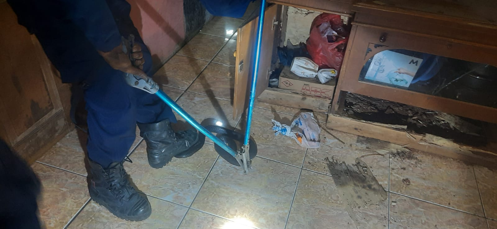 Pemilk Rumah di Kabupaten Bekasi Diganggu Belasan Ular Kobra Hingga Mengungsi