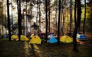 5 Rekomendasi Tempat Camping Keren di Malang, Nikmati Aktivitas Outdoor
