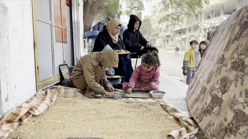 Kelaparan Melanda, Warga Gaza Makan Pakan Hewan untuk Bertahan Hidup
