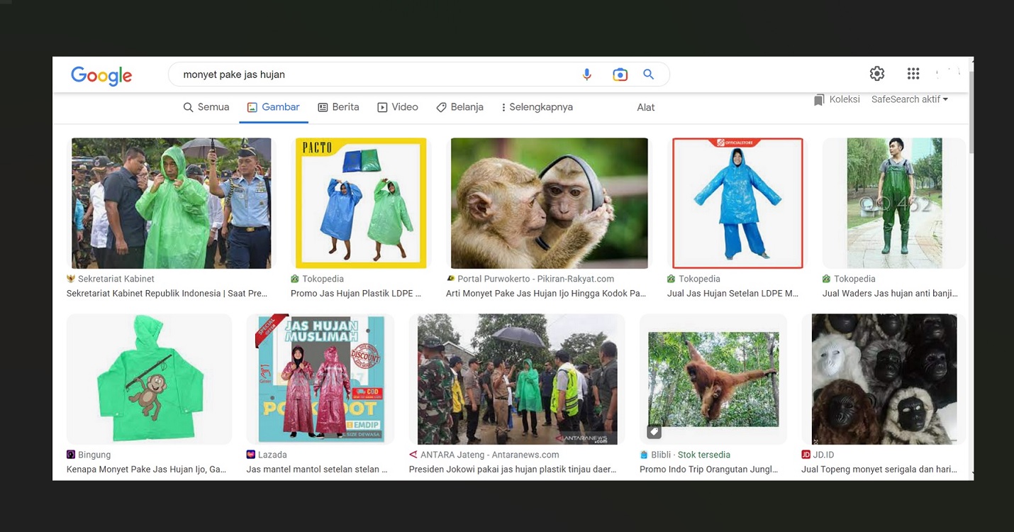 Alasan Kenapa Ketik Monyet Pakai Jas Hujan di Google yang Muncul Foto Jokowi, Begini Penjelasannya... 