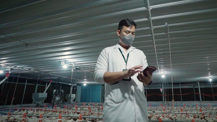 Telkom Dukung Akselerasi Digital Sektor Peternakan dengan Platform Antares IoT Smart Poultry