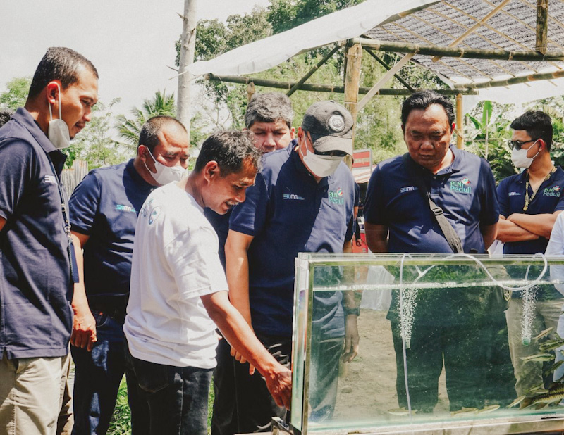 Komisaris PLN Apresiasi Program Budidaya Ikan Wader di Yogyakarta Binaan PLN bersama UGM