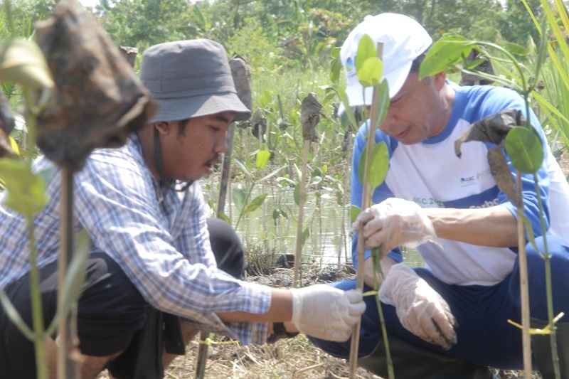 Dukung Program Mangrove Blue Carbon, KEHATI dan PT Asahimas Chemical Kembali Tanam Mangrove di Pandeglang