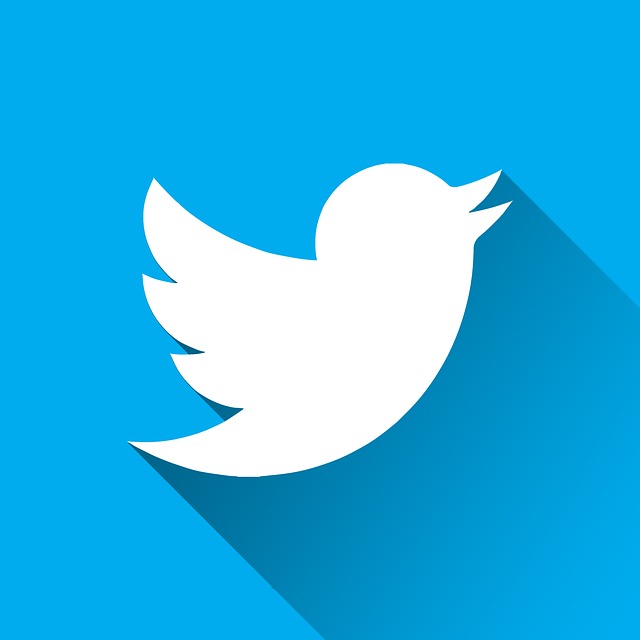 Twitter akan Ungkap Status Shadowbanned untuk Pengguna, Apa Maksudnya? 